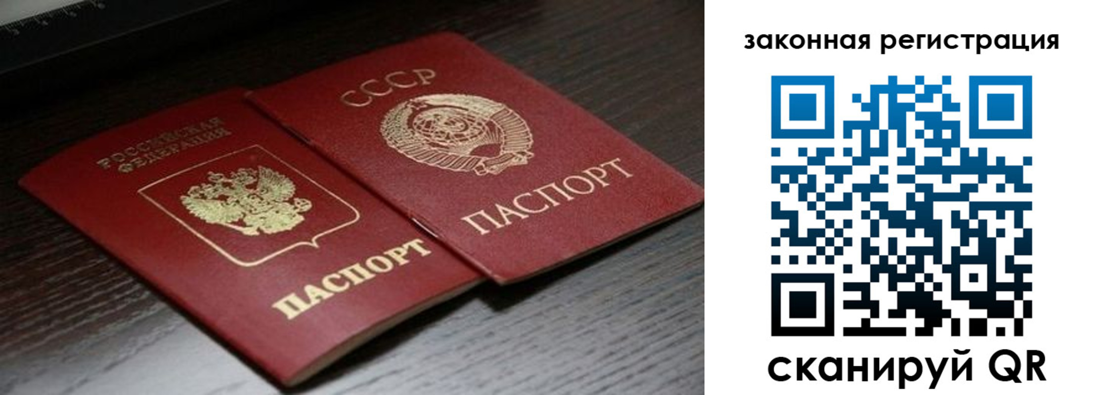 прописка поиск в Черноголовке